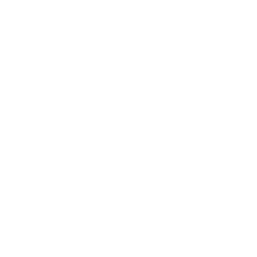 IMS Logo